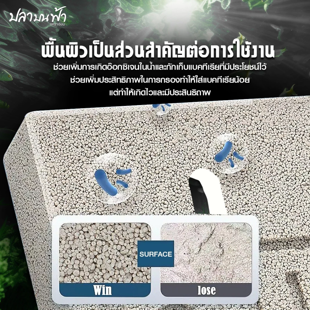 C-box เซรามิกแปดเหลี่ยม 5 สี วัสดุกรองตู้ปลา รุ่นอัพเกรด คุณภาพสูง thumbnail 5