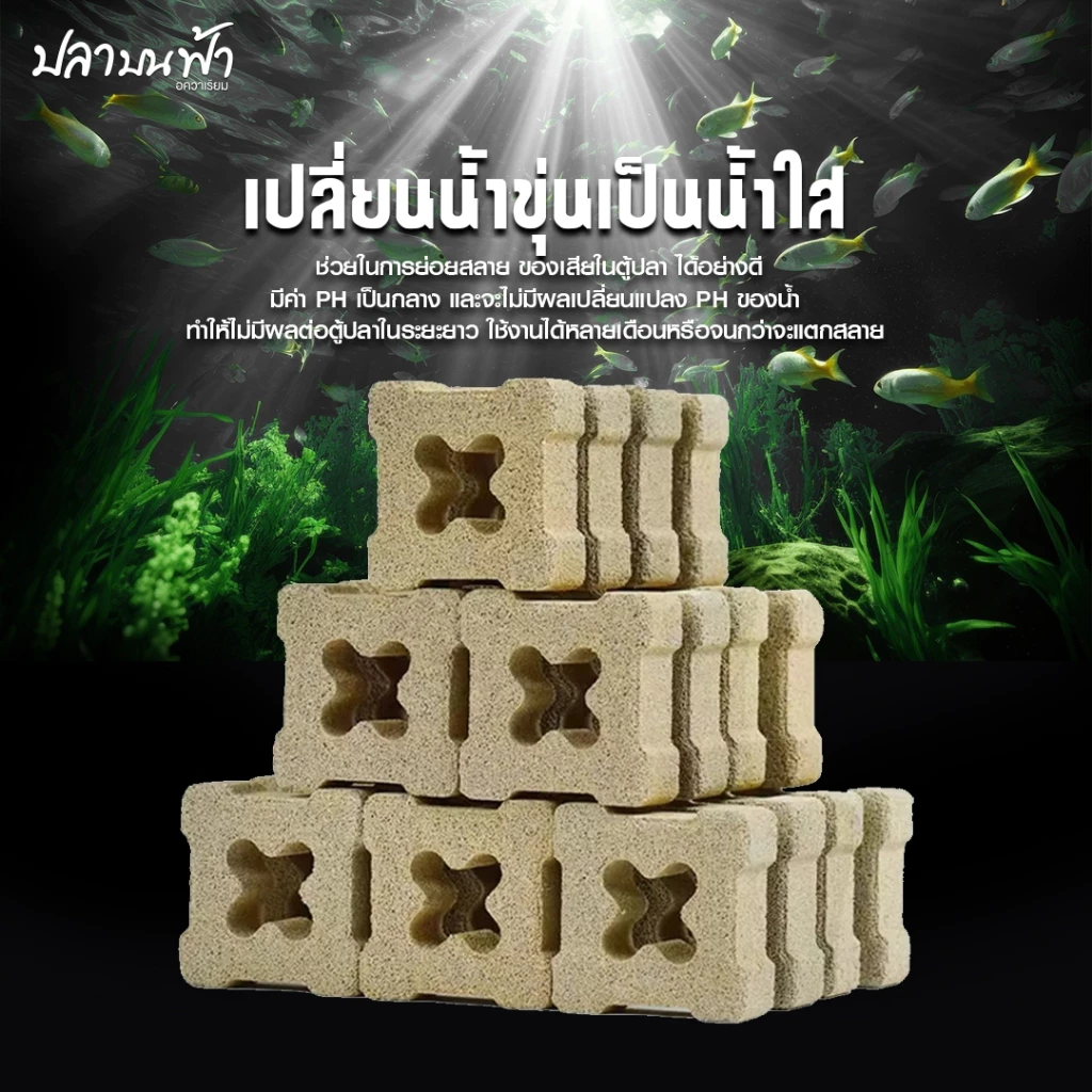 C-box เซรามิกแปดเหลี่ยม 5 สี วัสดุกรองตู้ปลา รุ่นอัพเกรด คุณภาพสูง thumbnail 6