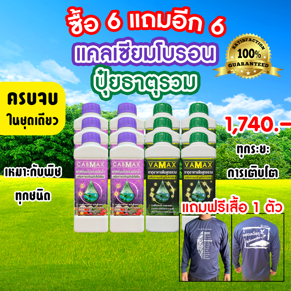 ( 6แถม6 ) CABMAX แคลเซียมและโบรอนเข้มข้น + VAMAX ธาตุอาหารรวมเข้มข้น 12 ลิตร แถมฟรี เสื้อ 1 ตัว