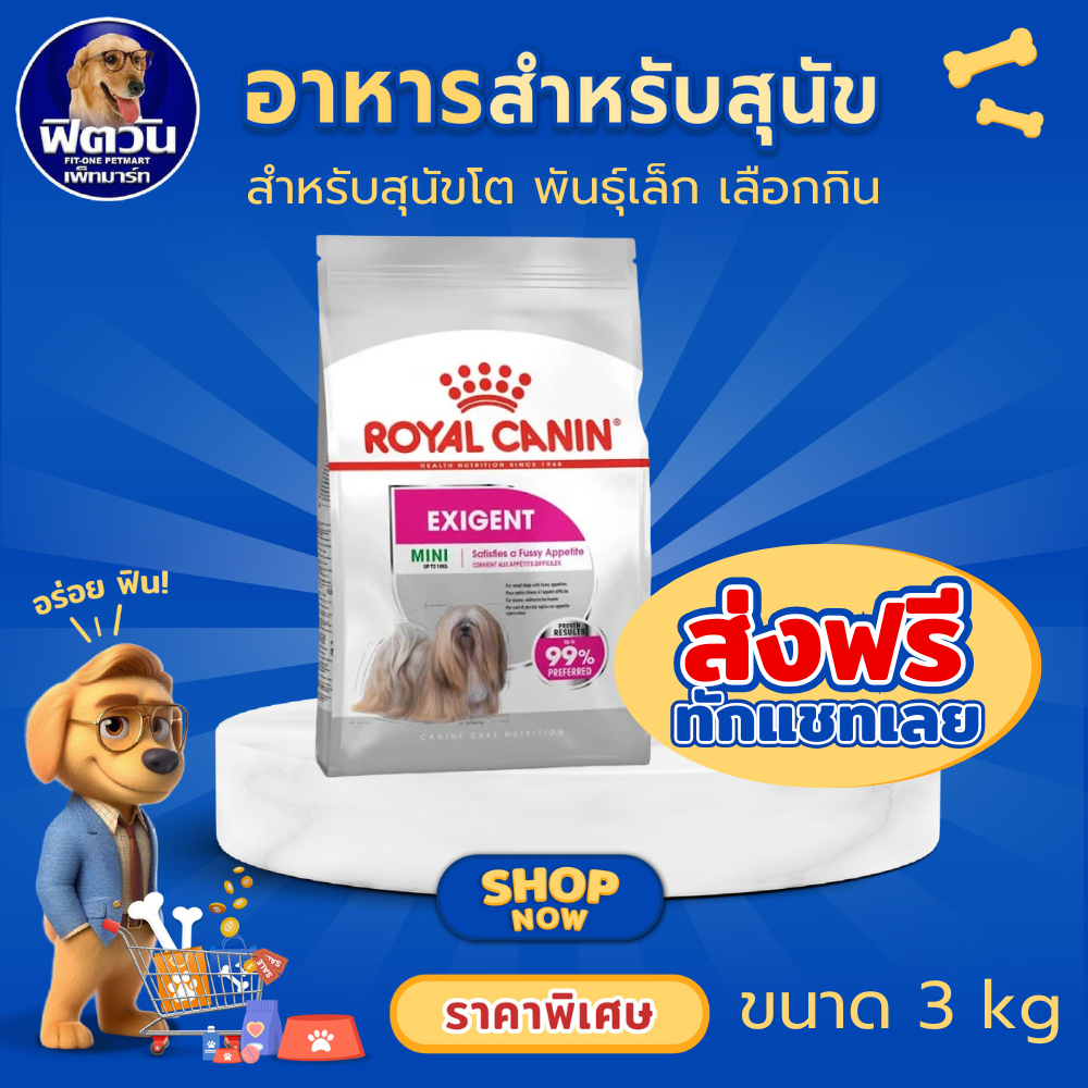 ROYAL CANIN MINI EXIGENT ADULT อาหารเม็ดสำหรับสุนัขโตพันธุ์เล็ก ขนาด 3 กิโลกรัม{อาหารสุนัขเม็ด}