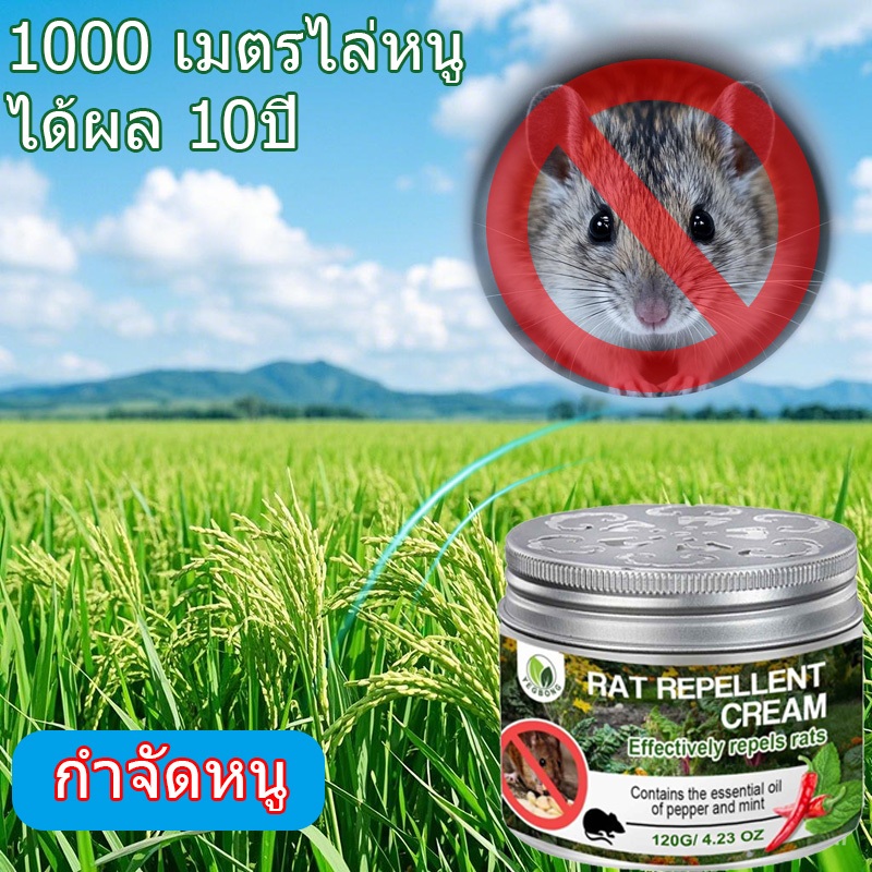 หนูได้กลิ่นจะวิ่งหนีไป รวดเร็วและมีประสิทธิภาพ ยาไล่หนู ปลอดภัยไร้สารพิษ ที่ไล่หนู กำจัดหนู ลูกเหม็นไล่หนู