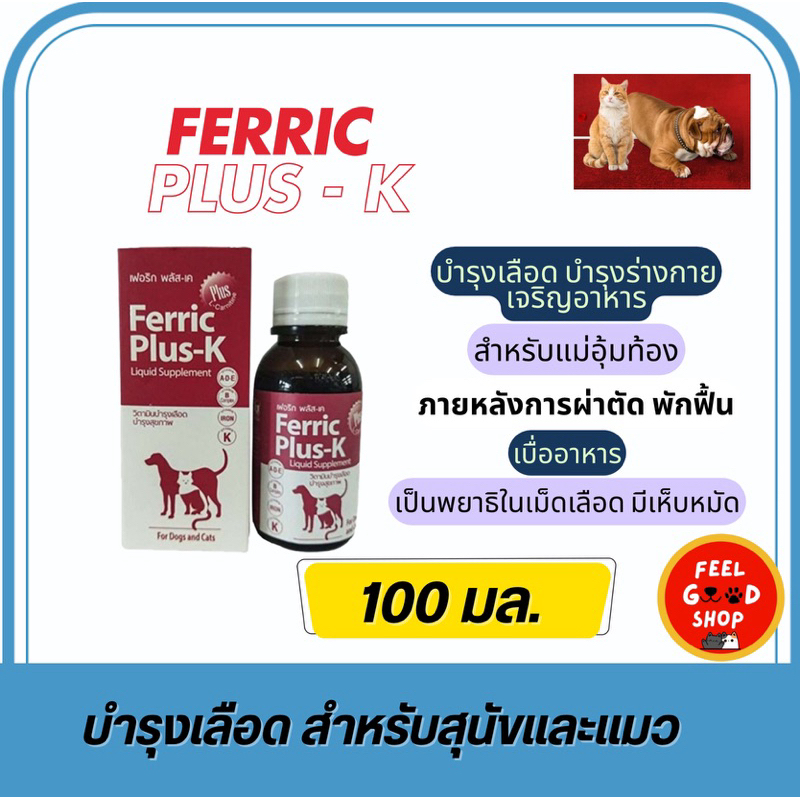 Ferric plus k (แบบน้ำ) (ขนาด (100ml) บำรุงเลือด (หมดอายุ 06/2027)