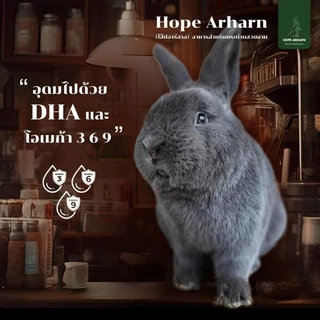 MAYL Hope Arharn อาหารกระต่ายเกรดพรีเมี่ยมจากมายล 👉กดติดตามรับโค้ดลด👈