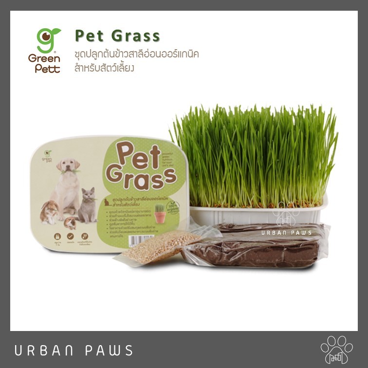 Green Pett - Pet Grass ชุดต้นข้าวสาลีอ่อนออร์แกนิค สำหรับสัตว์เลี้ยง
