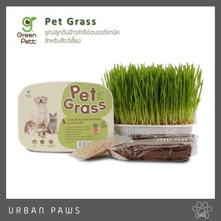 Green Pett - Pet Grass ชุดต้นข้าวสาลีอ่อนออร์แกนิค สำหรับสัตว์เลี้ยง
