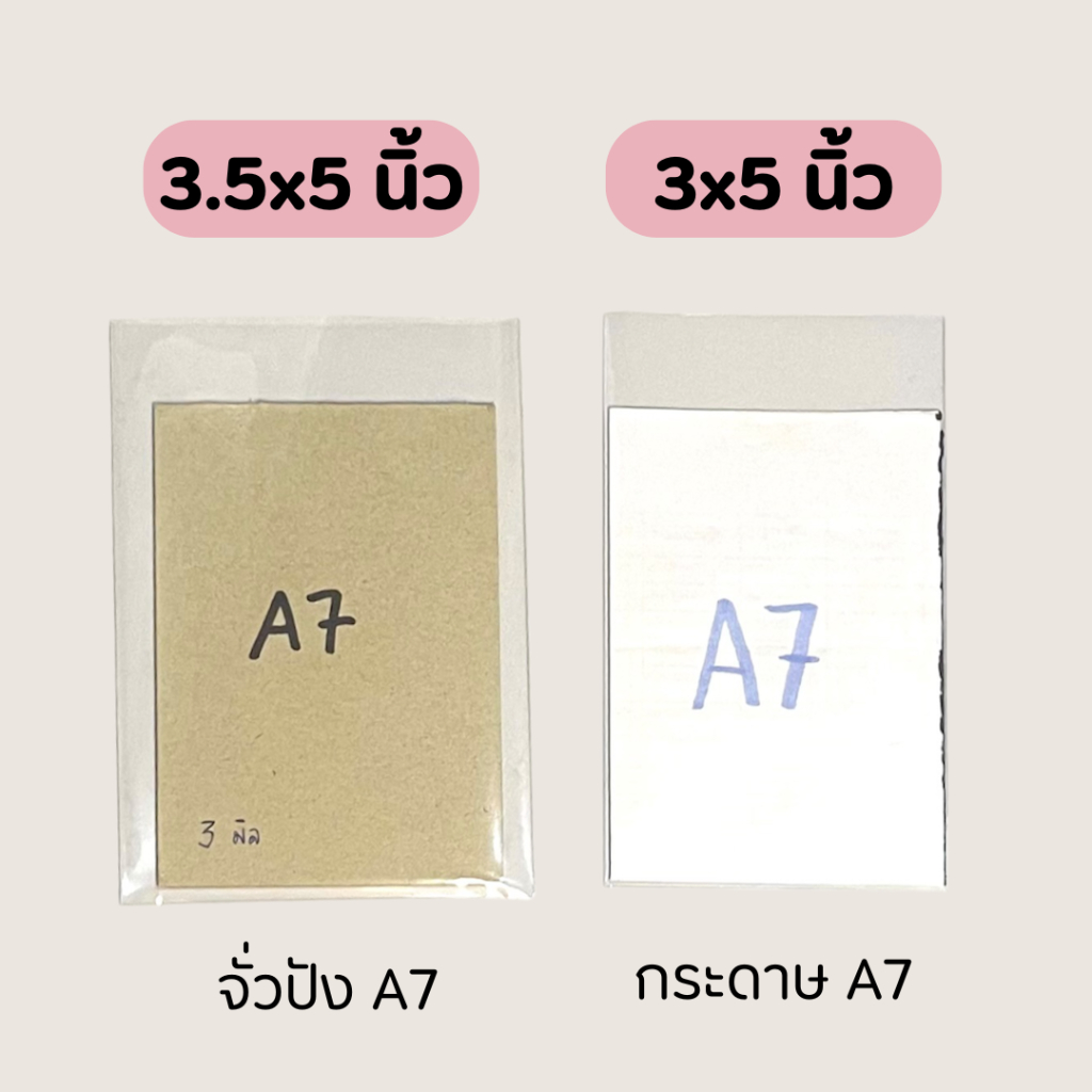 รูปภาพ 3