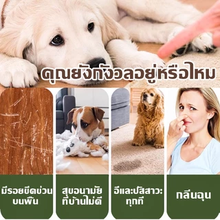 ถาดฉี่สุนัข หญ้าเทียม ห้องน้ำสุนัขขนาดใหญ่ ห้องน้ำหมา Dog Pee Padพร้อมหญ้าเทียม สำหรับฝึกให้สุนัขขับถ่าย แผ่นรองฉี่
