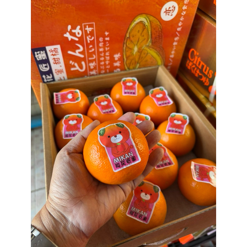ส้มญี่ปุ่น ส้มมิกัง Mikan (กล่องสีส้ม) 24 ลูก นำหนักชั่งรวมกล่อง 5 กิโลกรัม