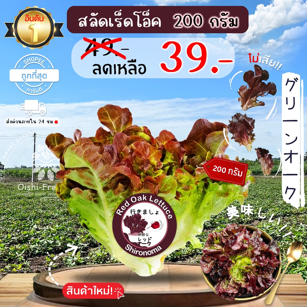 เรดโอ็ค ปลอดสารพิษ 200 ก. รสชาติกรอบ สด ใหม่ ใยอาหารสูง หวานออร์แกนิด เคลมได้ 1-2 วัน