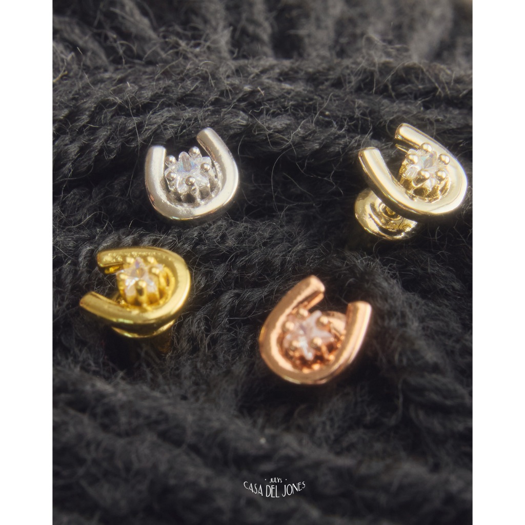 Julys - wisconsin earrings