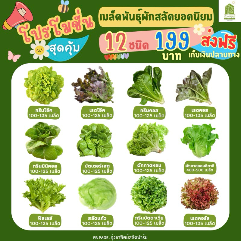 เพิ่มปริมาณ25% ชุดโปรโมชั่นสุดคุ้ม‼️เมล็ดพันธุ์ผักสลัด เมล็ดผักสวนครัว อัตราการงอกดี ราคาถูก🥬👍