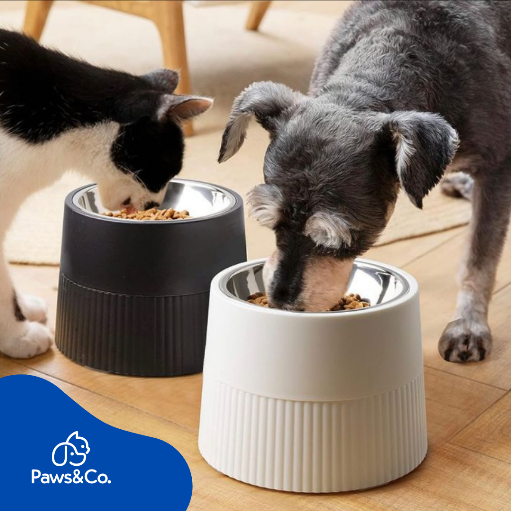 [พร้อมส่ง] ชามพลาสติก-แสตนเลสฟู้ดเกรด 2 ชั้น เหมาะสำหรับทั้งน้องหมาน้องแมว ทุกไซส์ทุกขนาด