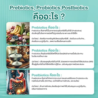 Complex P Bio (Totipro) พรี โพร โพสไบโอติกส์ 3 in 1