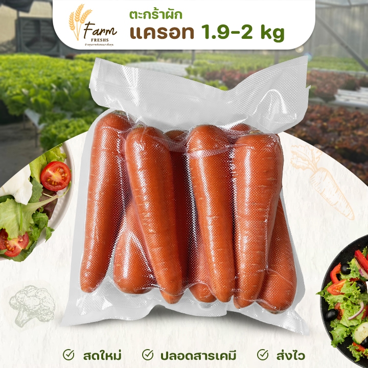 ส่งฟรี แครอท 1.9-2 kg ผัก คัดเกรดพิเศษ ปลอดสารเคมี สดใหม่เก็บใหม่ทุกวัน farmfresh