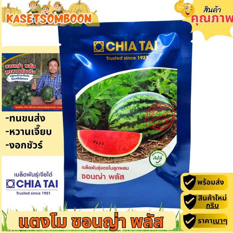 แตงโมซอนญ่าพลัส เมล็ดพันธุ์ 40 ก. ตราเจียไต๋