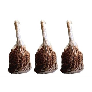 มิลเล็ทสเปร์แดง U.S.A บรรจุ 3 กิโลกรัม