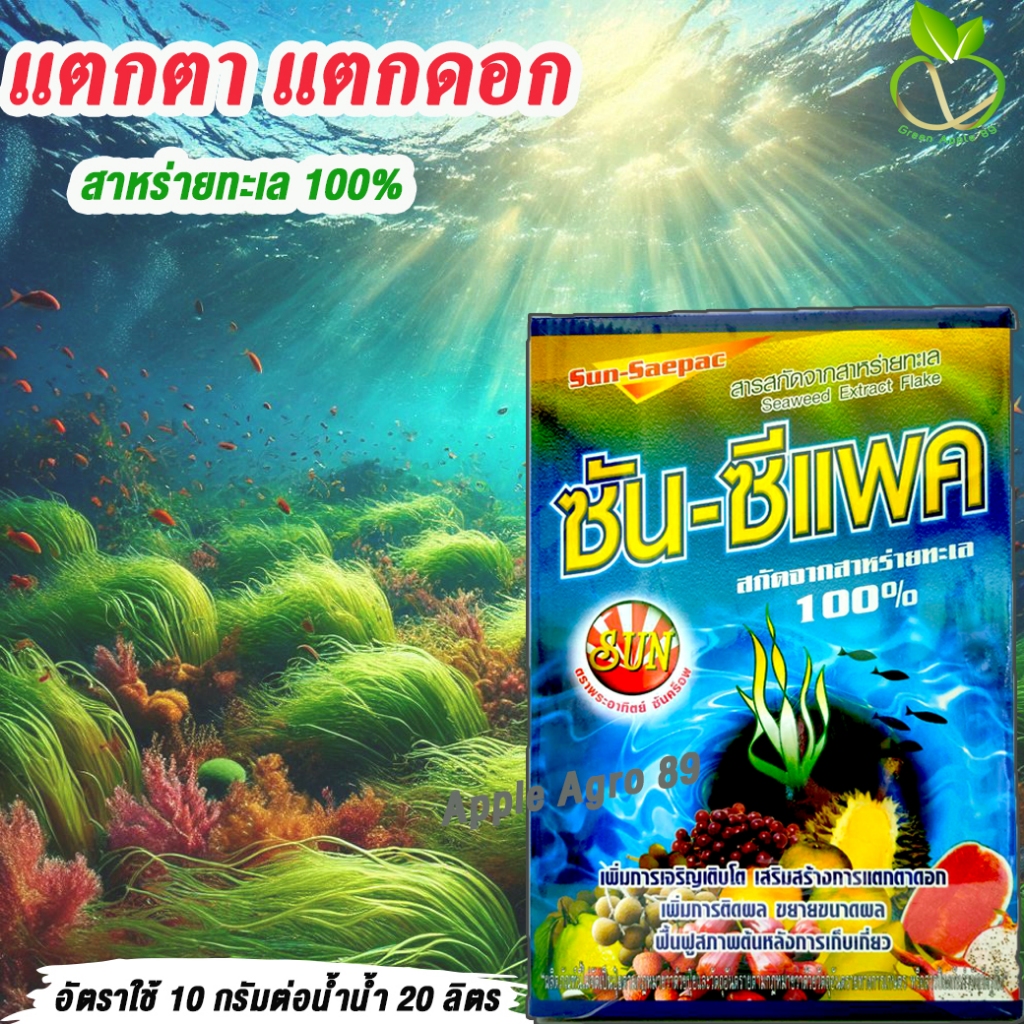 ซันซีแพค สาหร่ายพืช ขนาด 1 กิโล สาหร่ายเปิดตาเปิดดอก สาหร่ายพืชผง สาหร่ายพืชสกัด เพิ่มการติดผล ฟื้นฟูหลังการเก็บเกี่ยว