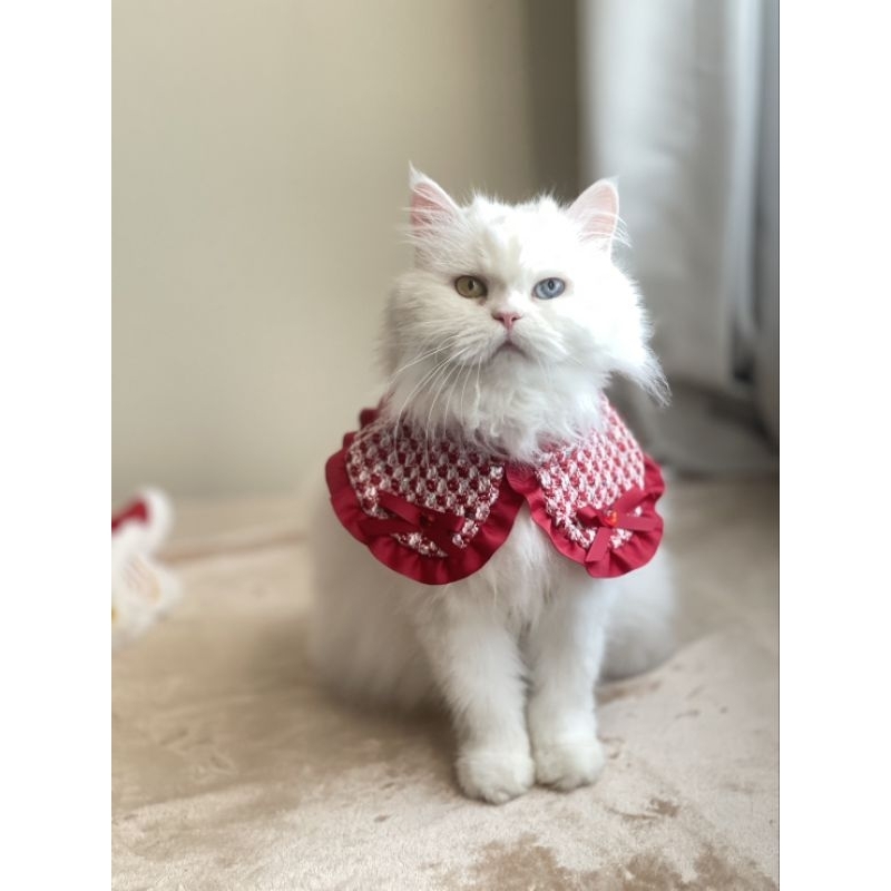 ชุดโบว์วี่หนีห่าว - Chinese new year Purrpet