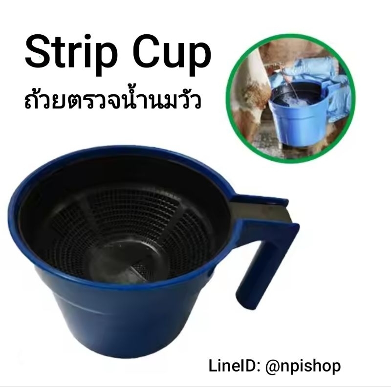 Strip Cup ถ้วยตรวจน้ำนมวัว ถ้วยสำหรับตรวจน้ำนมโคก่อนการรีดนม