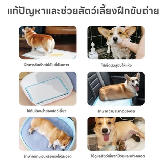 แผ่นรองฉี่สุนัข MZ แผ่นรองฉี่ แผ่นฝึกขับถ่าย ช่วยฝึกขับถ่าย ซึมซับได้ดี ดูดซับอย่างรวดเร็ว มีให้เลือก 4 Size