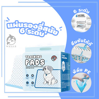 【ซื้อ 1 แถม 1】แผ่นรองฉี่สุนัข แผ่นรองฉี่แมว แผ่นรองฉี่ ต่อต้…