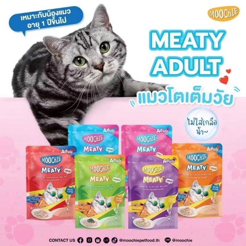 Moochie อาหารเปียกมูชี่ไม่เติมเกลือเพื่อสุขภาพของน้องแมวขนาด 70 กรัม 12ซอง