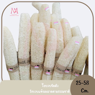 ใยบวบขัดตัวขัดผิวจากธรรมชาติ100% บวกหอม นิ่มมาก ไม่บาดผิว