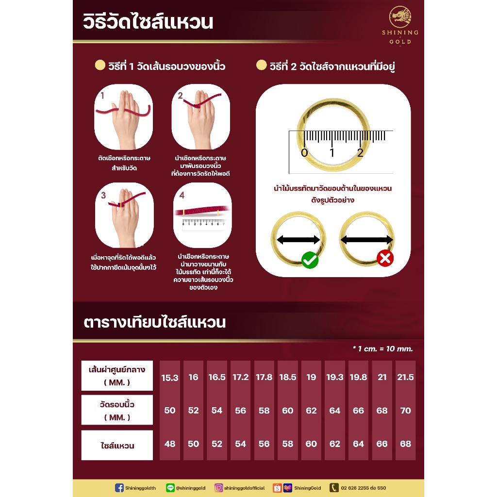 รูปภาพ 8