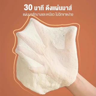 เครื่องนวดแป้ง 7L Dough Mixer เครื่องนวดแป้งอเนกประสงค์ 7 ลิตร ที่ผสมแป้ง ที่อบขนมปัง เครื่องหมักแป้ง อุปกรณ์ทำเบเกอรี่
