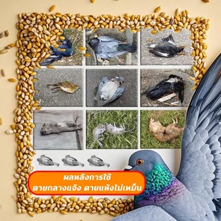 🕊️เห็นผลชัวร์100%🐦 แลนเนท ยาเบื่อนก ยาฆ่านกพิราบ 500กรัม ยากำจัดนกพิราบ ทำลายอวัยวะภายในตายใน 1วัน แห้งเร็วและไม่มีกลิ่น