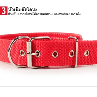 PET LIFE ปลอกคอสัตว์เลี้ยง ปลอกคอสุนัข ปลอกคอแมว แบบไนล่อน มี 4 ขนาด 4 สีให้เลือก แบบไนล่อน