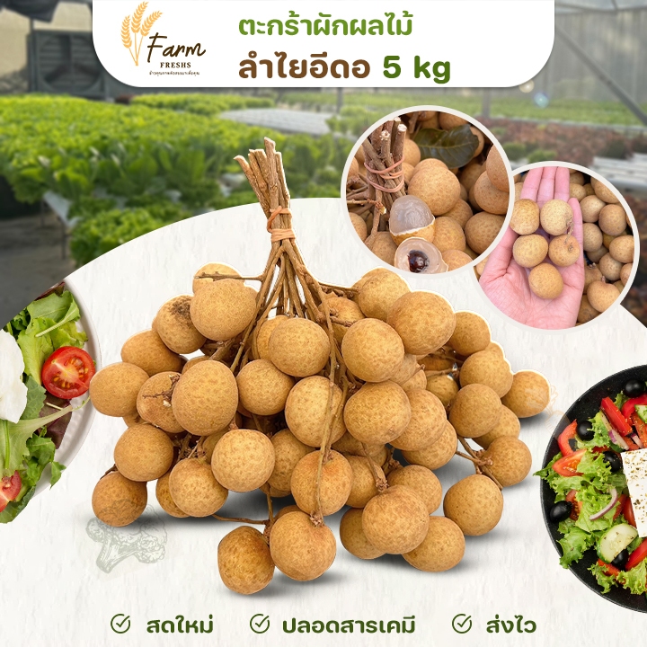 📌ส่งฟรี📌ลำไยอีดอ 5 kg รวมกล่อง คัดเกรดคุณภาพดี รสหวาน อร่อย ส่งตรงจากเกษตกร farm fresh 🔔