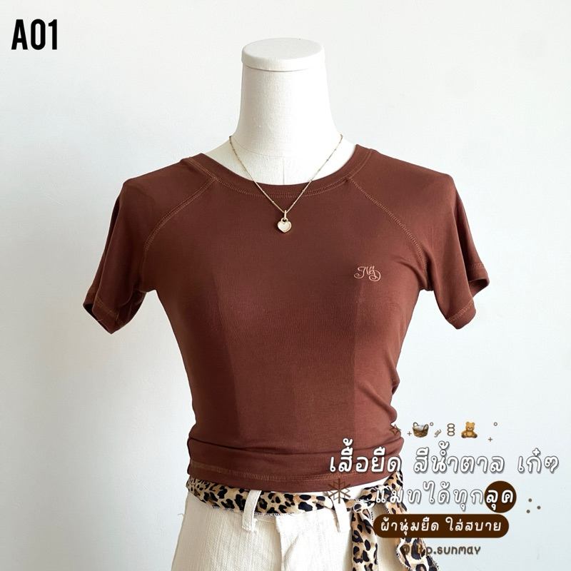 Ntp : “ เสื้อแฟชั่น เสื้อยืด เสื้อสีน้ำตาล เนื้อผ้าคอตตอน “ ดีเทลมีลายปักภาษาอังกฤษบนอก