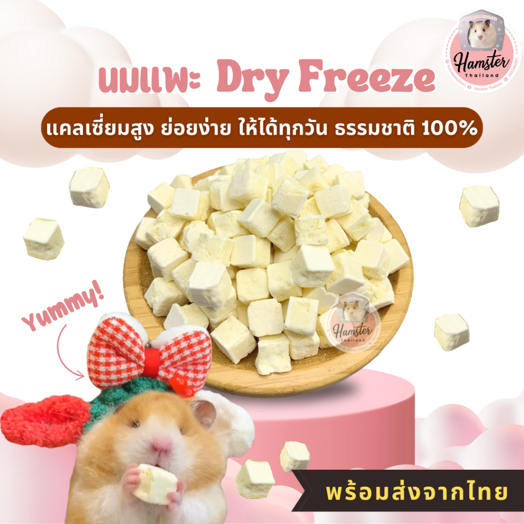 Hamsterthailand นมแพะ ดรายฟรีซ Goat milk Dry Freeze นมแพะสัตว์เลี้ยง ขนม อาหาร