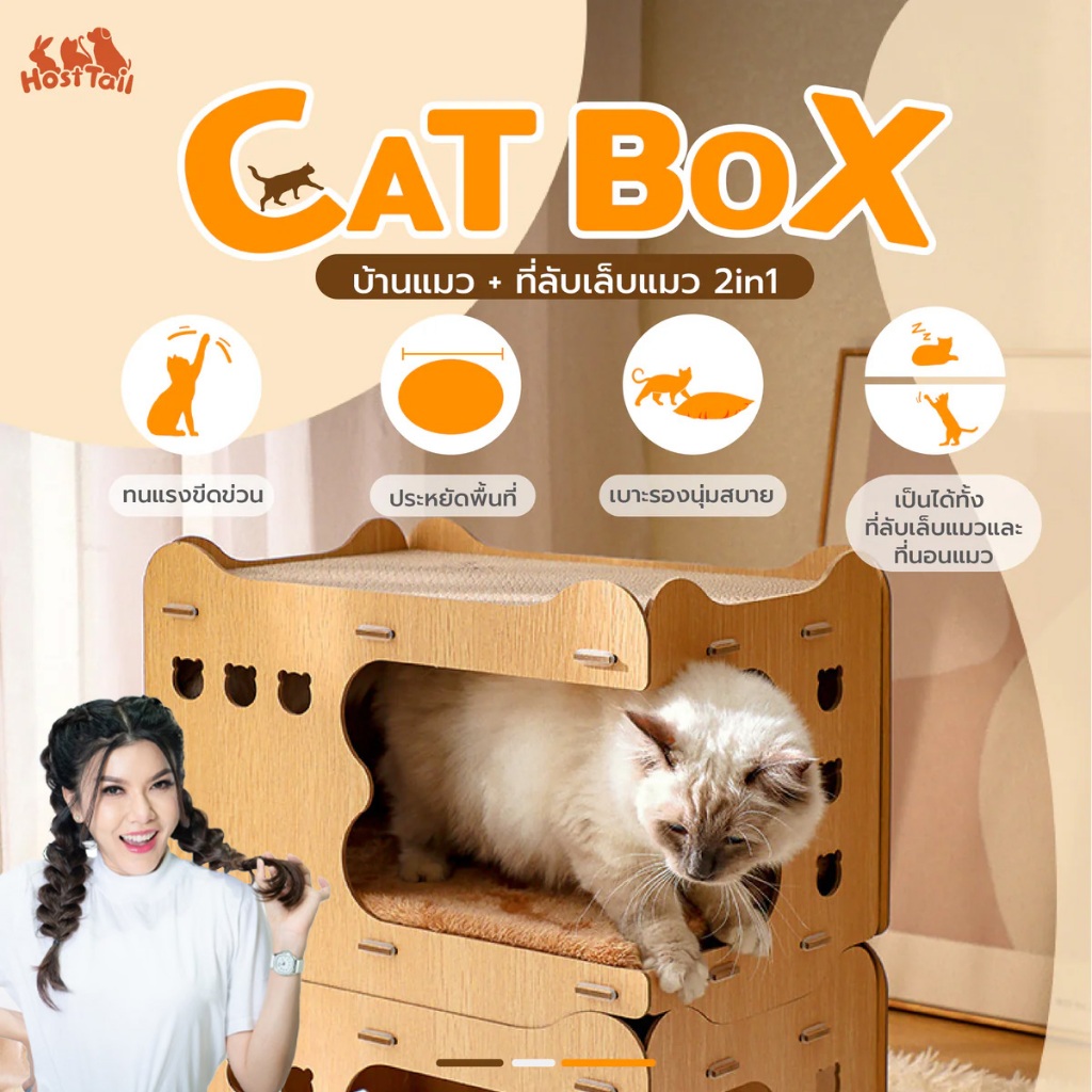 บ้านแมว + ที่ลับเล็บแมว แบบลูกฟูก Hosttail รุ่น cat box