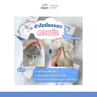 [พร้อมส่ง❗️] MONZE CARE น้ำยาเช็ดคางสูตรอ่อนโยน ควบคุมความมัน ขจัดคราบไขมัน ลดสิวแมว 150ml.| แมวหิว