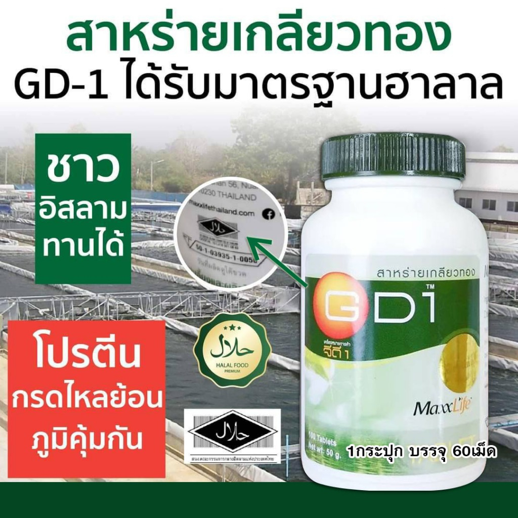 สาหร่ายเกลียวทองGD1 (MaxxLife GD1) ขนาดบรรจุ 60แคปซูล (สินค้าล็อตใหม่ วันหมดอายุ24/8/2027 )