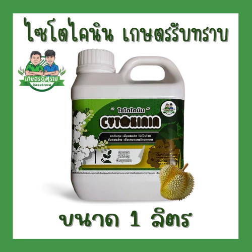 ไซโตไคนิน Cytokinin เกษตรรับทราบ กระตุ้นตาดอก