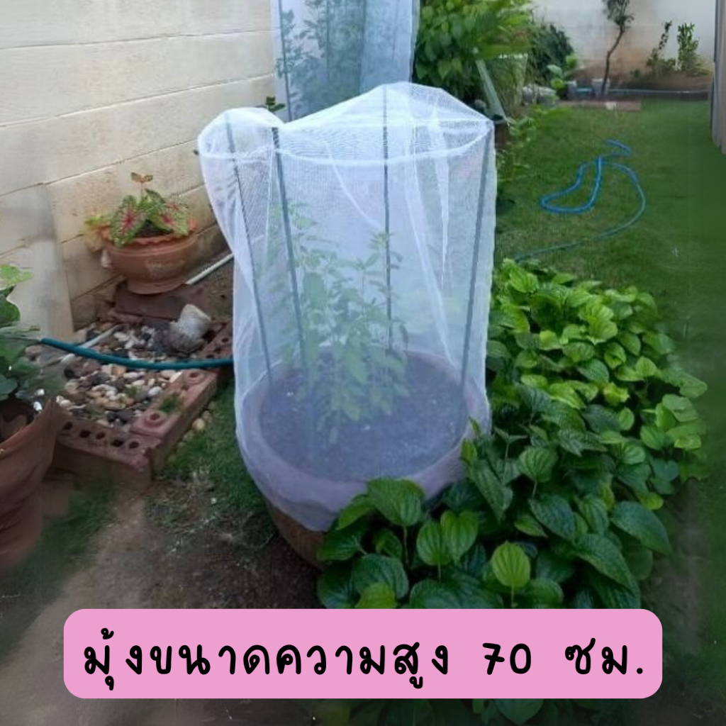 มุ้งคลุมกระถางป้องกันศัตรูพืช (สูง 70 ซม. เส้นผ่าศูนย์กลาง 50 ซม.)