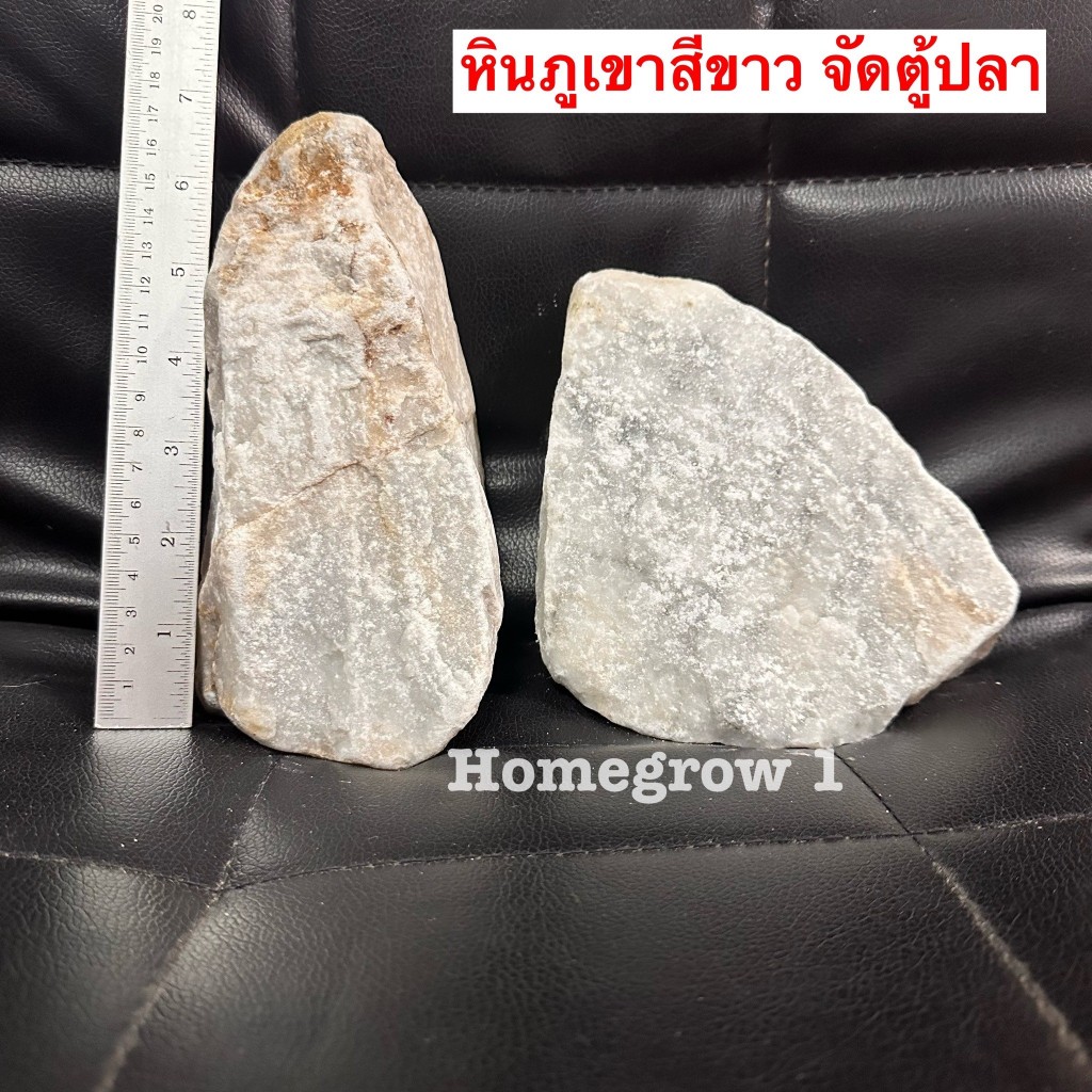 หินภูเขาสีขาว รวม1กิโล หินตกแต่งตู้ปลา หินจัด Layout หินจัดตู้ปลา Seiryu Stone หินขาว

<p>“><center></p>
<h4></h4>
<p><p><font color=