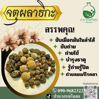 ชาจตุผลาธิกะ 120 กรัม ขับเมือกมันในลำไส้ มีถุงกรอง ปานาภรณ์โอสถ