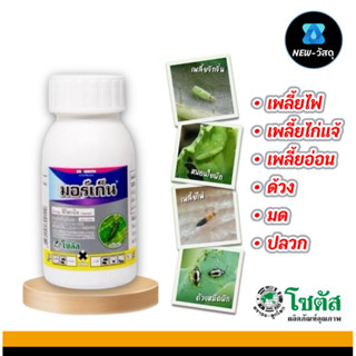 มอร์เก็น 100cc (ฟิโพรนิล) โซตัส กำจัดแมลง**ยาเย็น เพลี้ยไฟ เ…