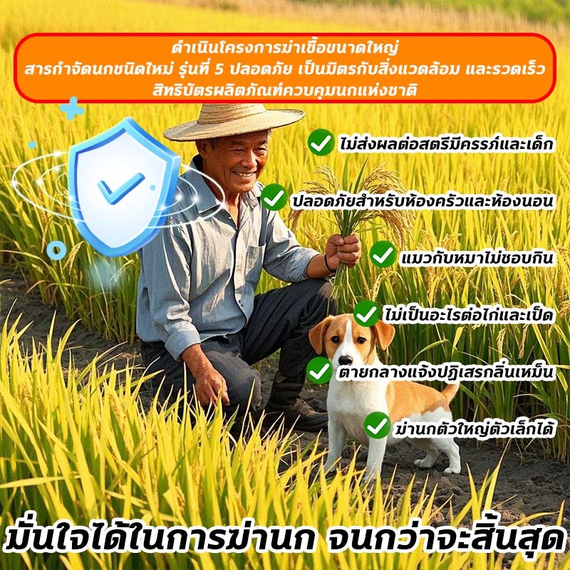 200% ได้ผล ยาเบื่อ นกพิราบ ยากำจัดนกพิราบ ยาเบื่อนก ไล่นก ก้อนไล่นก กำจัดนก เหยื่อกำจัดนกพิราบ เบื่อนกพิราบ ยาฆ่านกพิรา- - รูปที่ 5