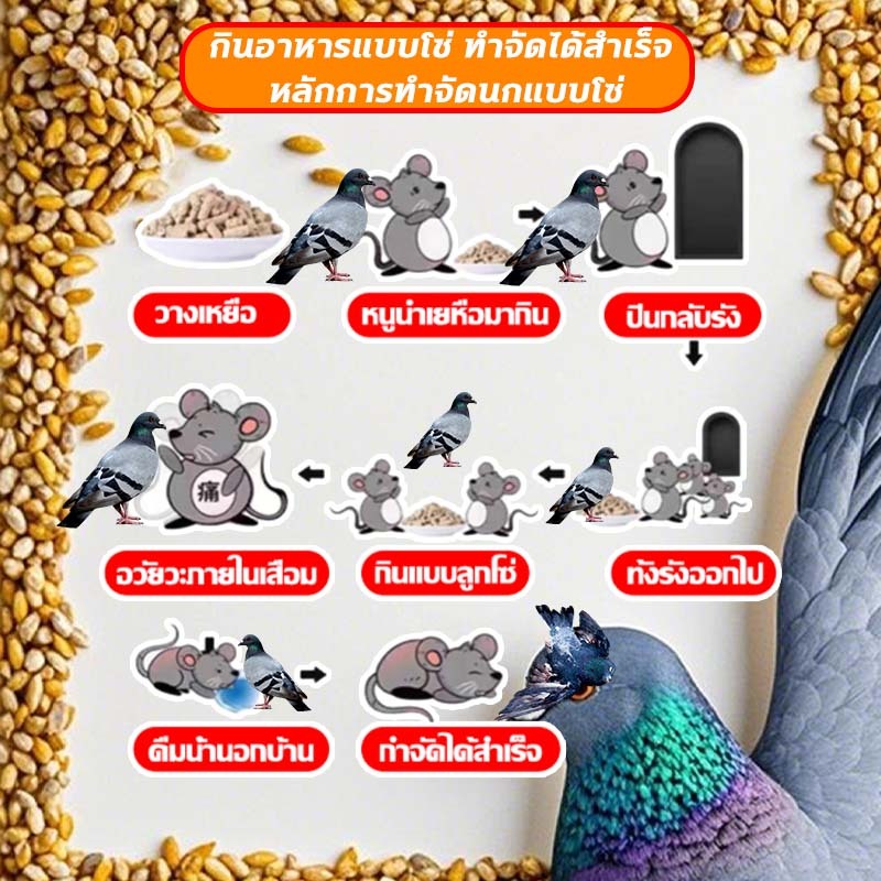 200% ได้ผล ยาเบื่อ นกพิราบ ยากำจัดนกพิราบ ยาเบื่อนก ไล่นก ก้อนไล่นก กำจัดนก เหยื่อกำจัดนกพิราบ เบื่อนกพิราบ ยาฆ่านกพิรา- - รูปที่ 6