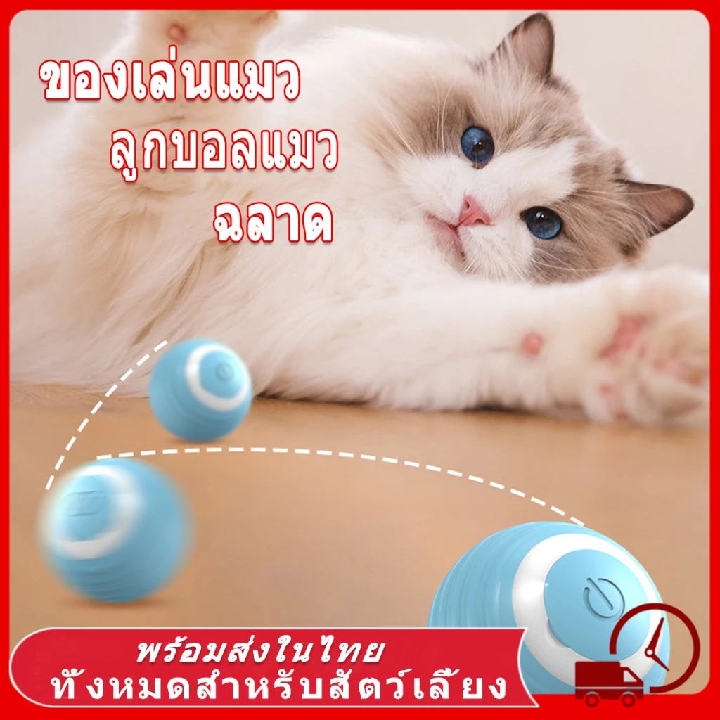 ของเล่นแมว ลูกบอลแมว การชาร์จ ปราดเปรื่อง ของใช้แมว cat toy แมวเล่นด้วยตัวเอง แมว ออกกำลังกาย