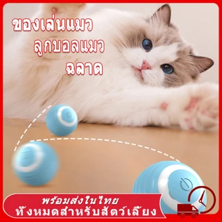ของเล่นแมว ลูกบอลแมว การชาร์จ ปราดเปรื่อง ของใช้แมว cat toy แมวเล่นด้วยตัวเอง แมว ออกกำลังกาย