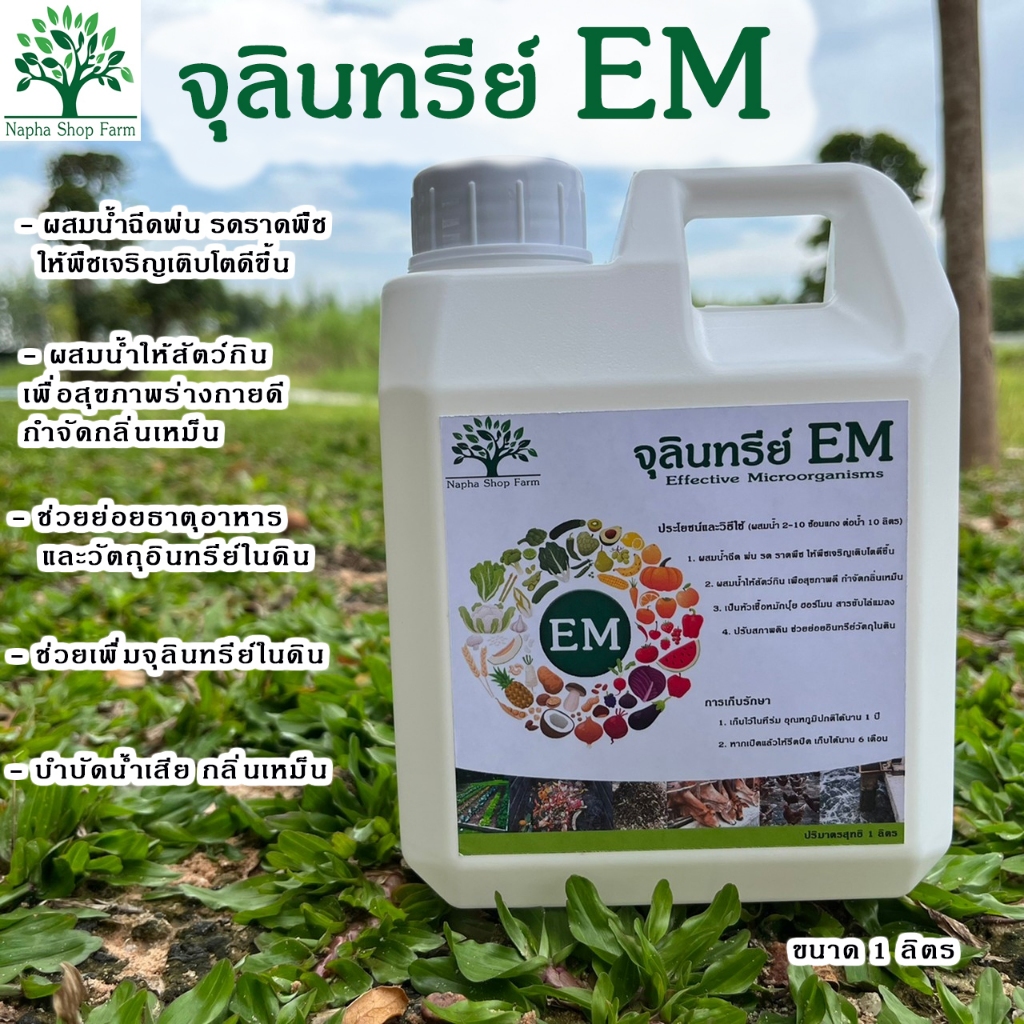 จุลินทรีย์ EM ดับกลิ่นห้องน้ำ ห้องส้วม บำบัดน้ำเสีย ระงับกลิ่นไม่พึงประสงค์ หมักทำปุ๋ย ขนาด 1 ลิตร