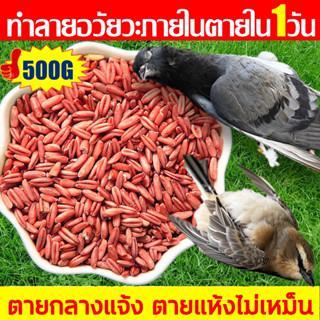 200% ได้ผล ยาเบื่อ นกพิราบ ยากำจัดนกพิราบ ยาเบื่อนก ไล่นก ก้…