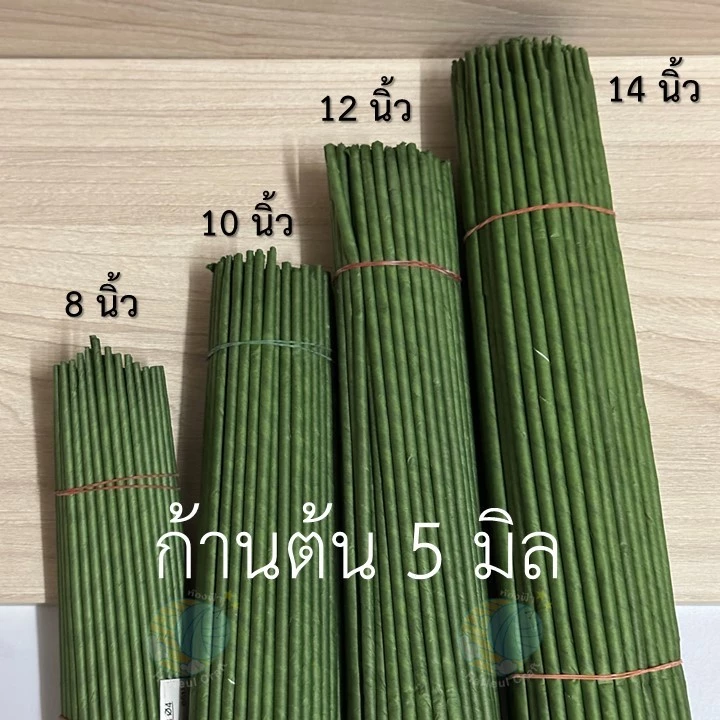 <แบ่งขาย>ก้านต้น 5 มิล ก้านปลอม ก้านกุหลาบ สีเขียว ยาว 8,10,12,14 นิ้ว
