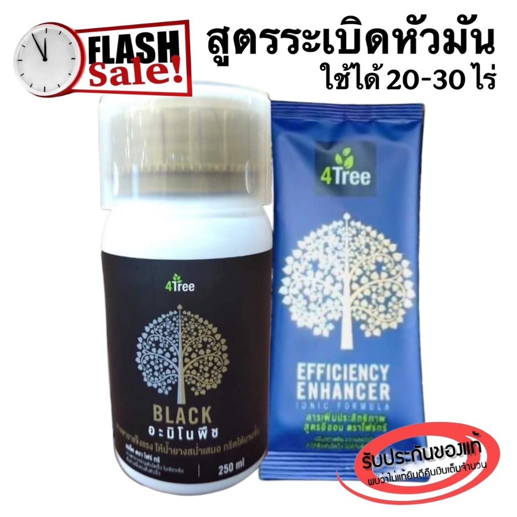 4Tree โฟร์ทรี + Amino Black อะมิโนแบล็ค สูตร​ระเบิดหัวมัน เร่งราก เพิ่มน้ำหนัก​ สร้าง​แป้ง​ ชุดทดลอง